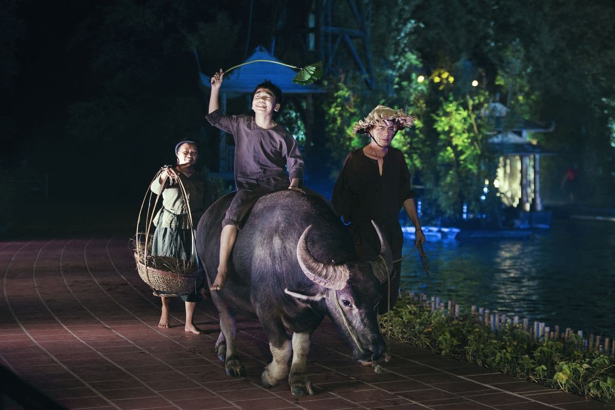 The Quintessence of Tonkin Show Ticket in Hanoi