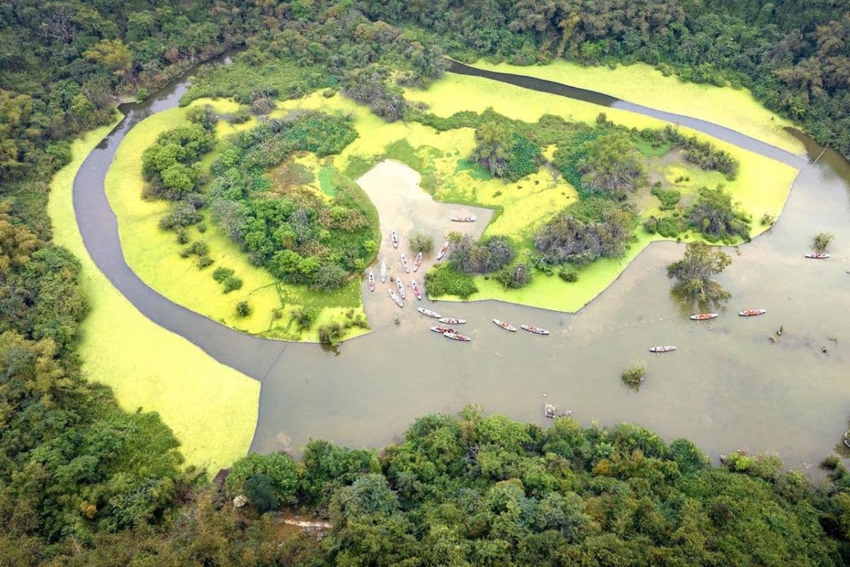 Thung Nham Bird Park in Ninh Binh