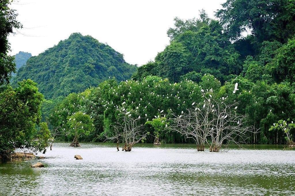 Thung Nham Bird Park in Ninh Binh