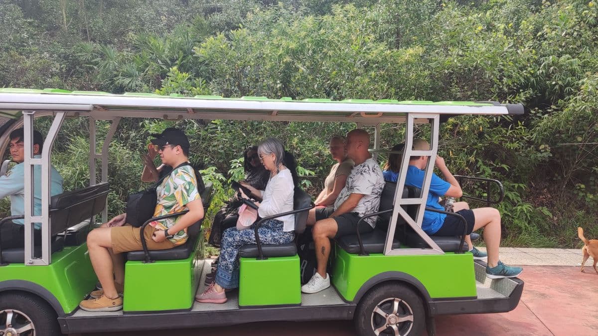 My Son Sanctuary and Thu Bon River Cruise