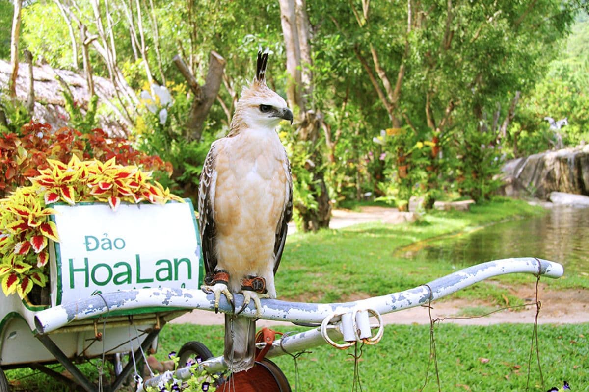 Orchid Island Ticket in Nha Trang