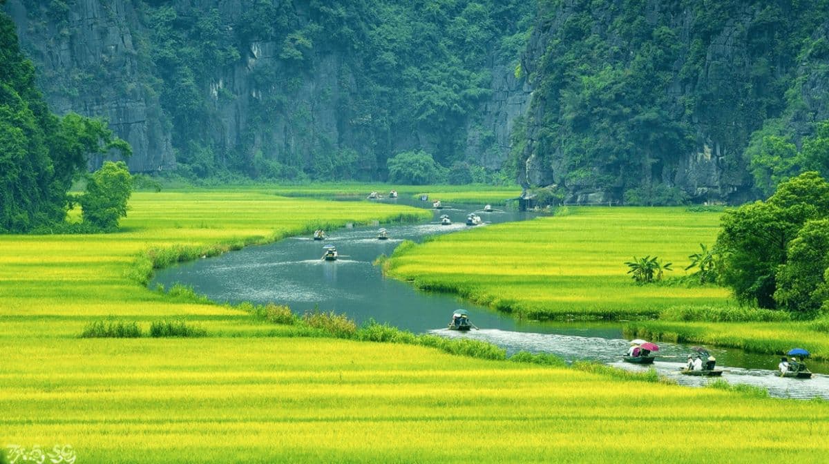 Hoa Lu Ancient Capital - Tam Coc And Mua Cave One Day From Hanoi