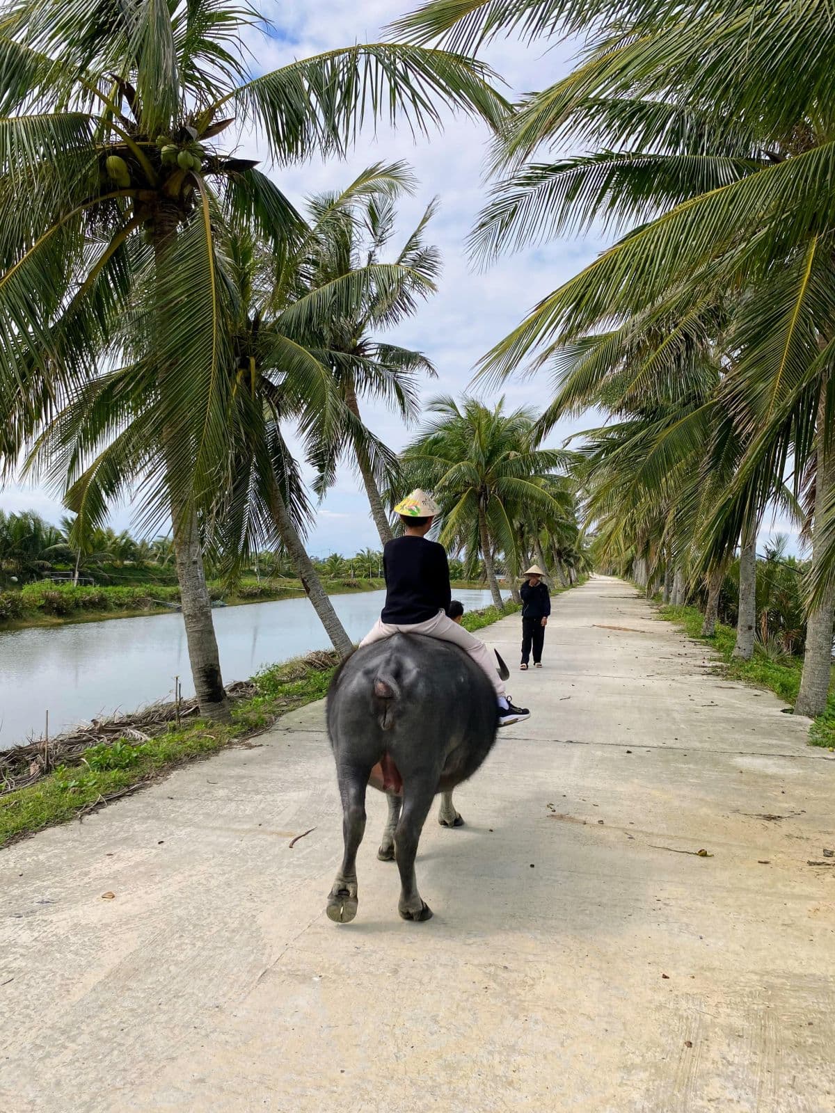 Buffalo Riding Adventure and Basket Boat Tour