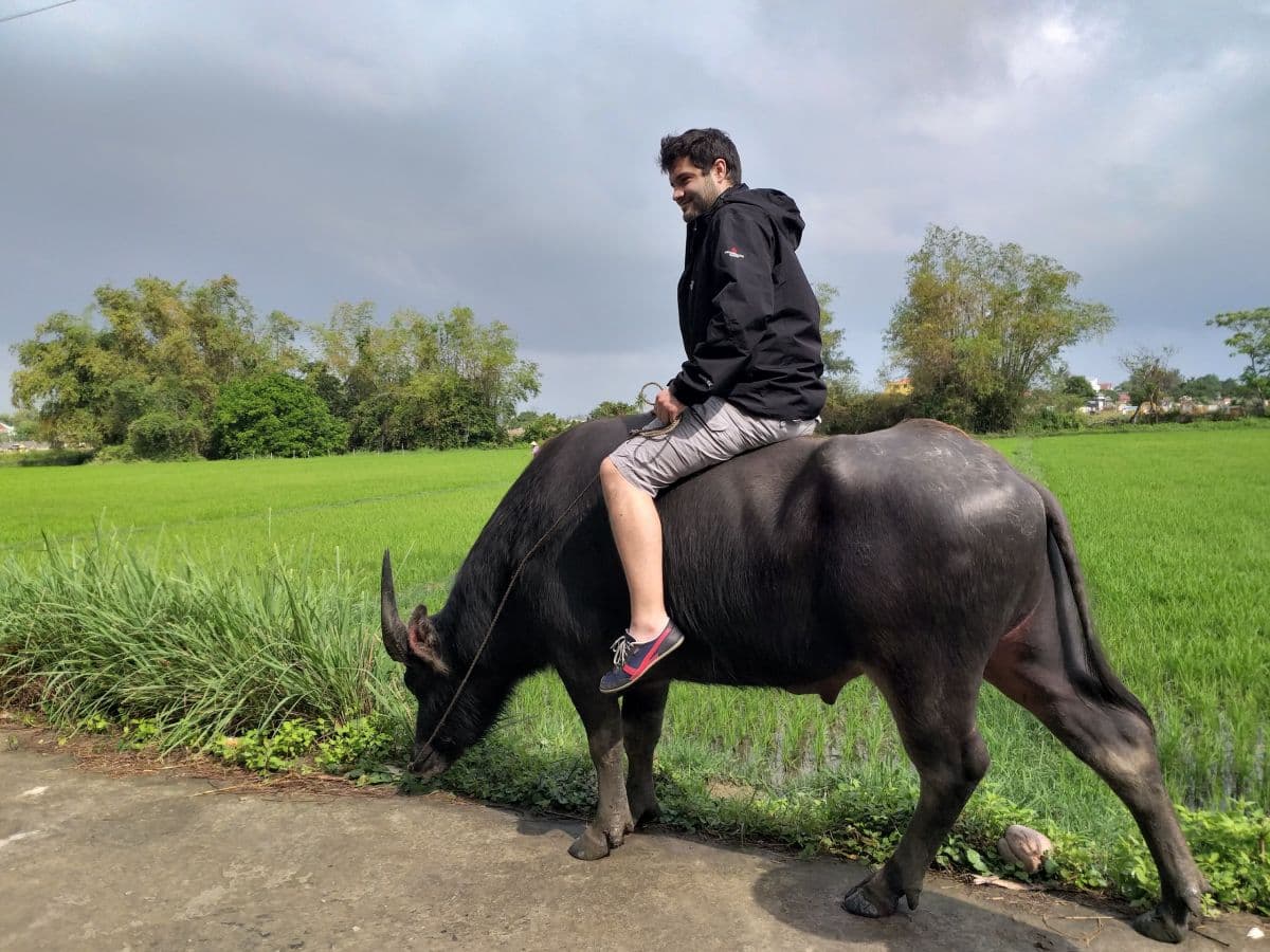Buffalo Riding Adventure and Basket Boat Tour