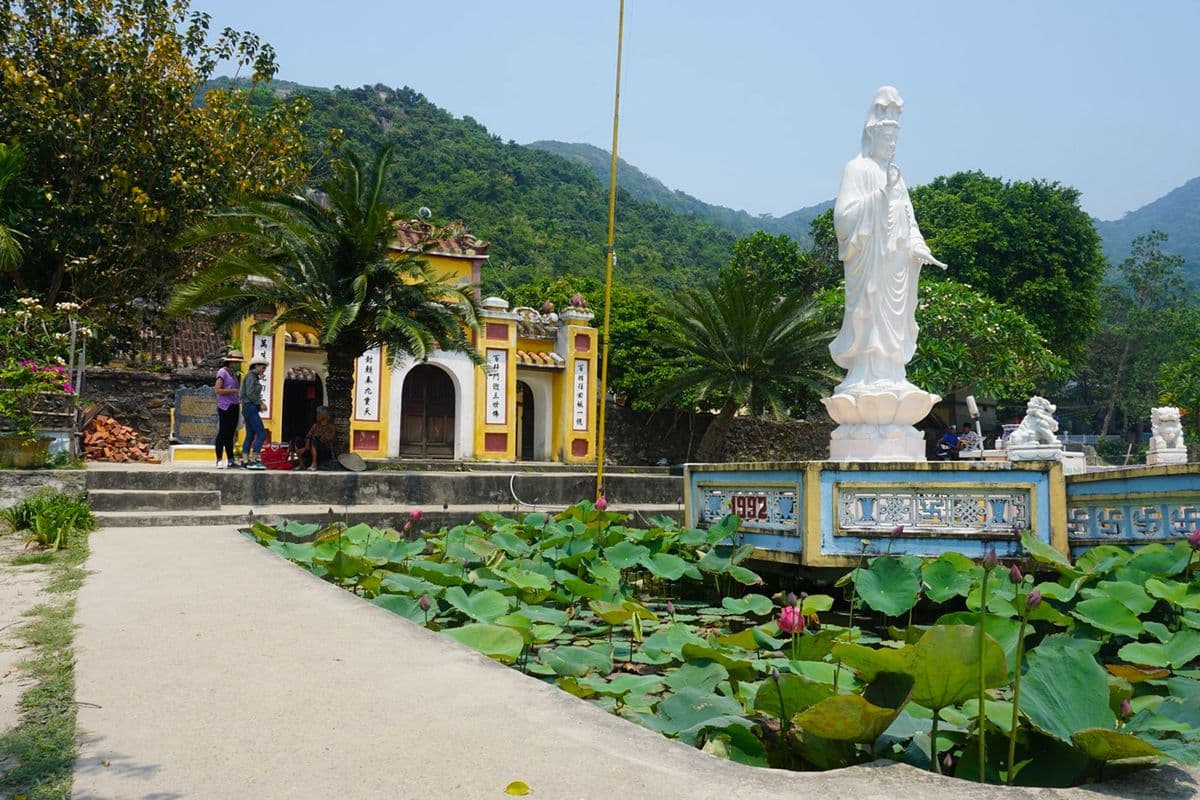Cham Island Day Tour From Da Nang