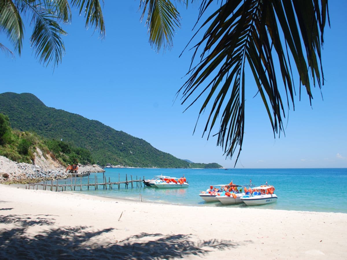 Cham Island Day Tour From Da Nang