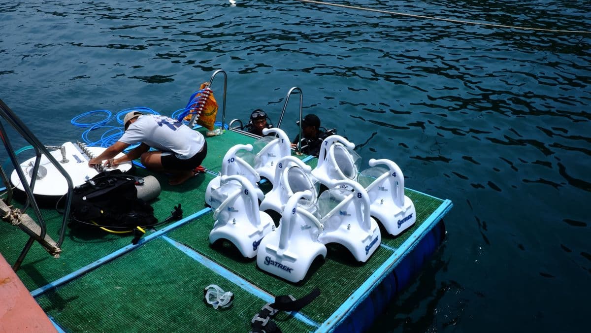 Cham Island Walking Under Water and Snorkeling by Speedboat
