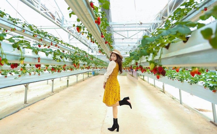 Cloud Hunting Da Lat Day Tour