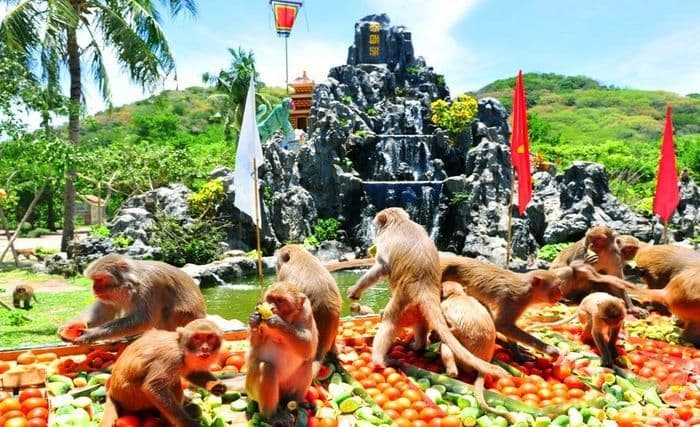 Combo Monkey Island + Orchids Island Ticket in Nha Trang