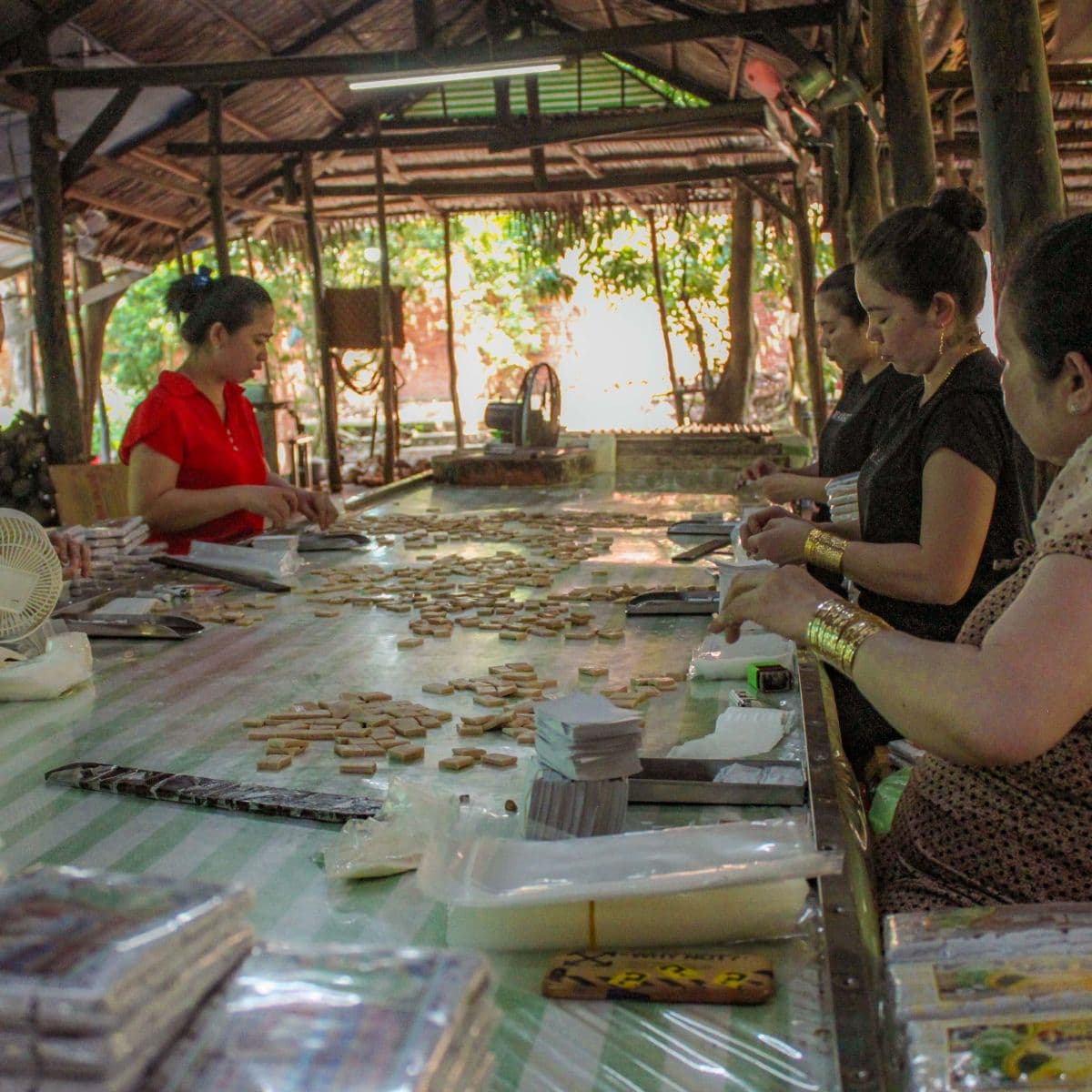 Excursion d'une journée complète aux tunnels de Cu Chi et au delta du Mékong
