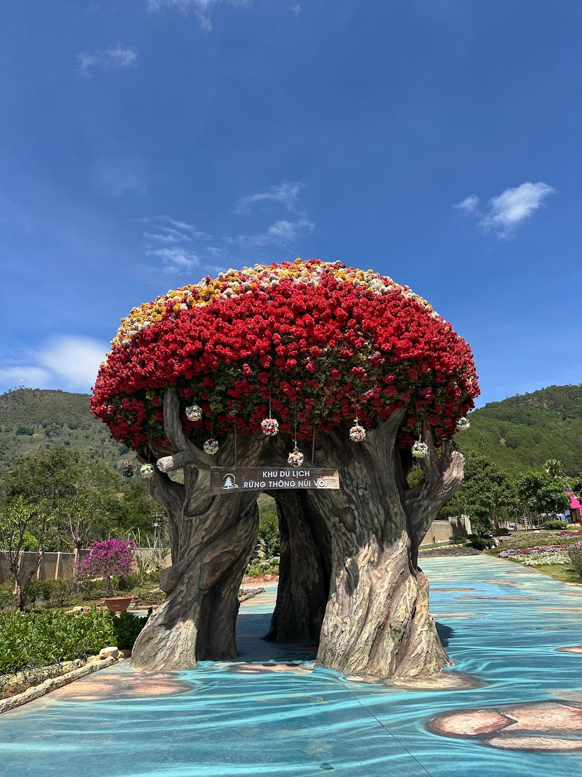 Dalat Elephant Mountain Pine Forest