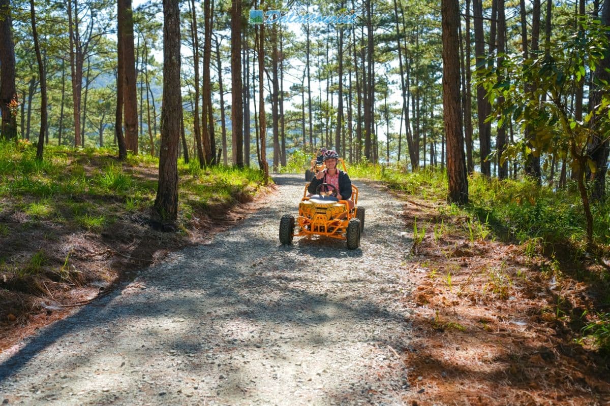 Datanla Electric Vehicle Service - Datanla Pine Karts