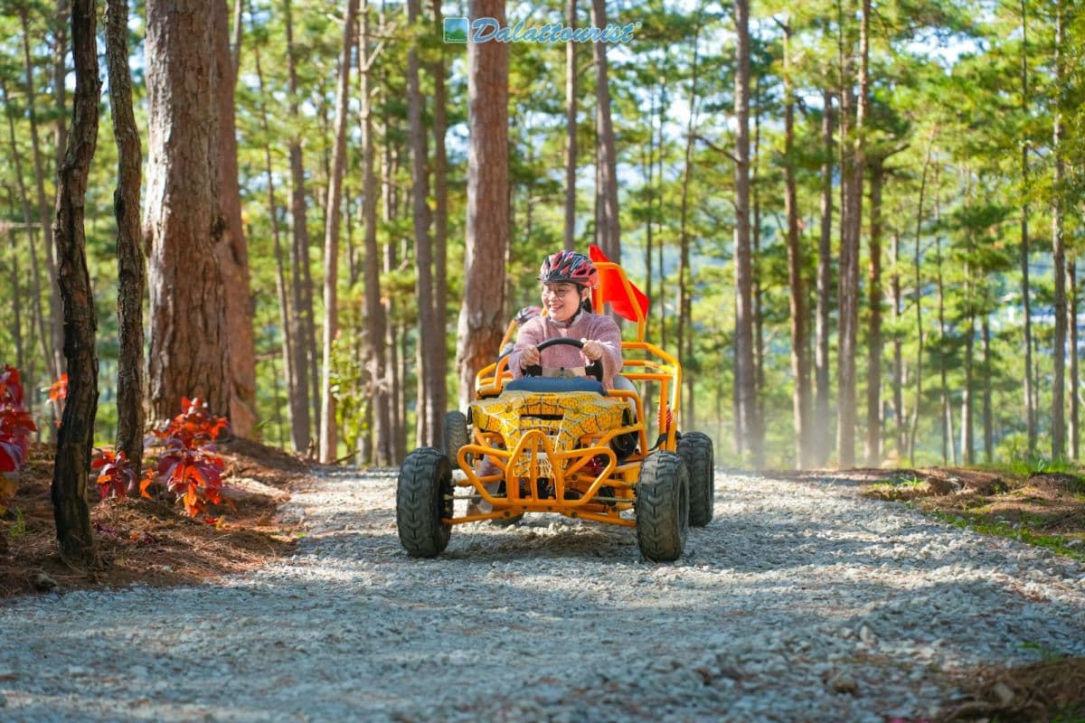 Datanla Electric Vehicle Service - Datanla Pine Karts