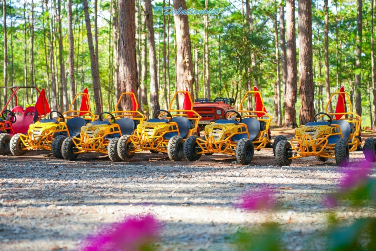 Datanla Electric Vehicle Service - Datanla Pine Karts