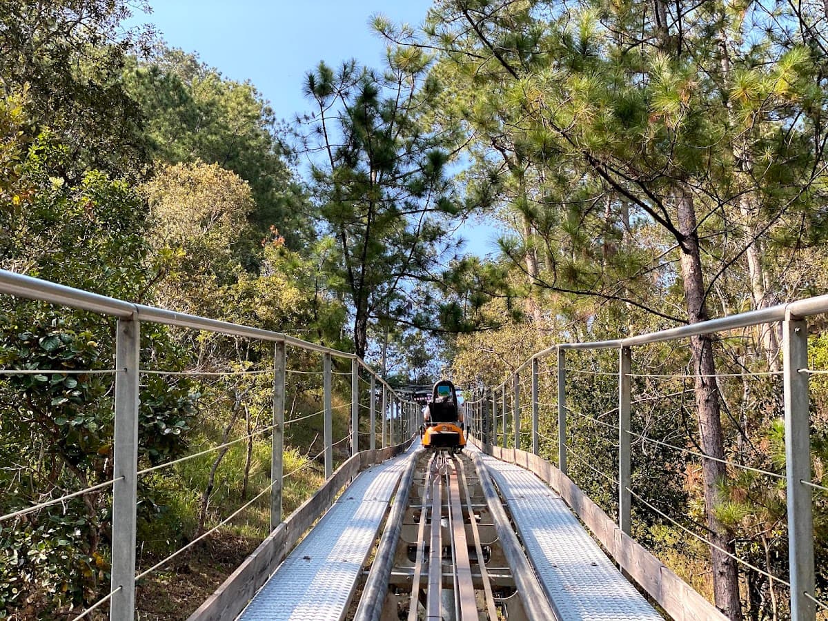 Datanla New Alpine Coaster Experience