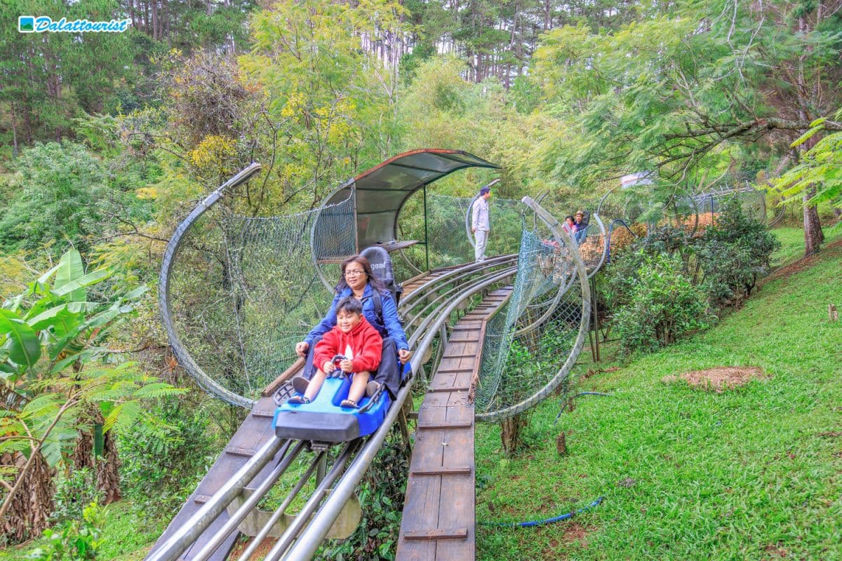 Datanla New Alpine Coaster Experience