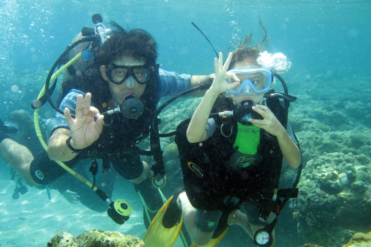 Discover Coral Reef With Scuba Diving Tour