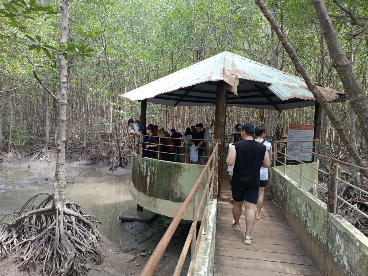 Discover Monkey Island - Can Gio – Nature Tour From Ho Chi Minh City
