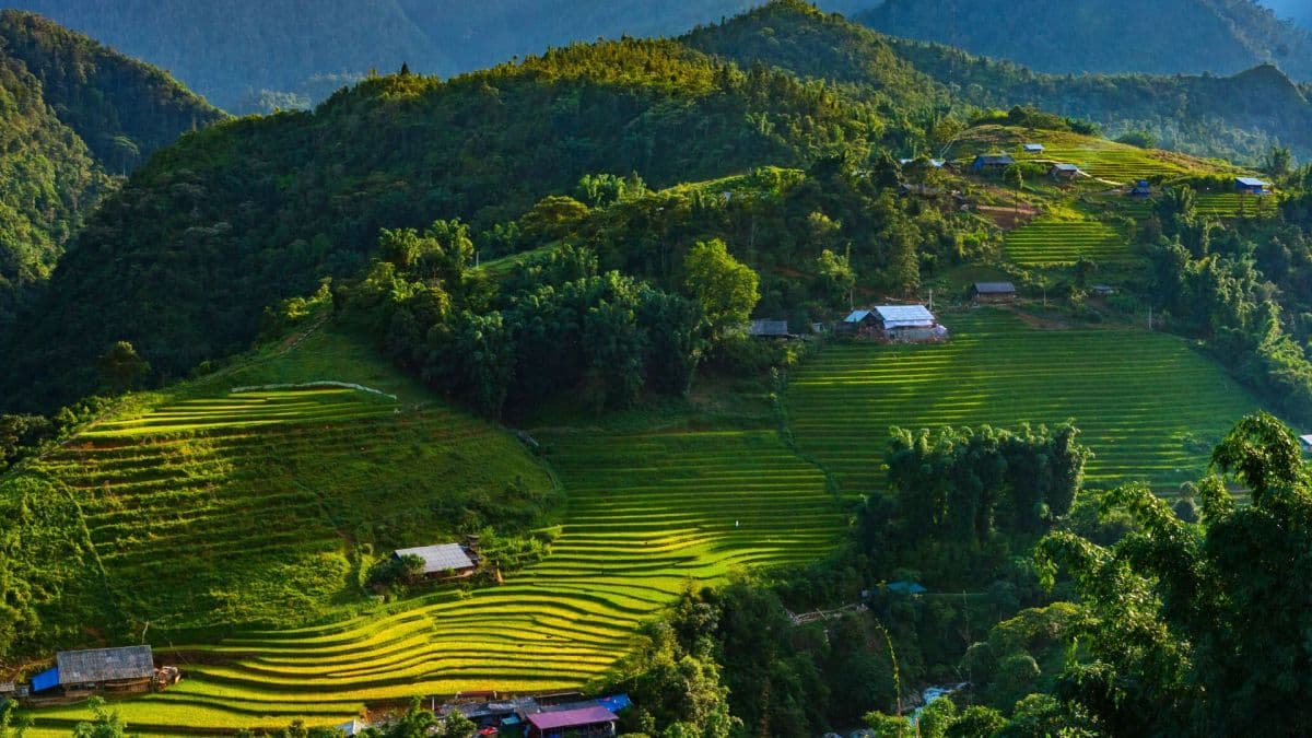 Experience 3 Days Sapa Trekking Tour With Fansipan From Hanoi