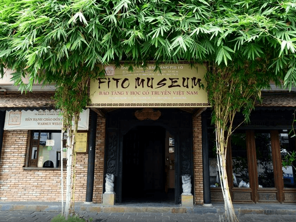 Fito Museum - Traditional Vietnamese Medicine