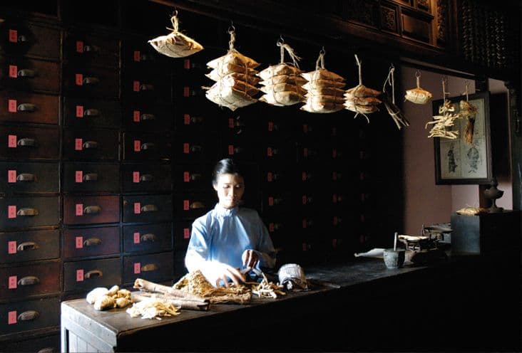 Fito Museum - Traditional Vietnamese Medicine