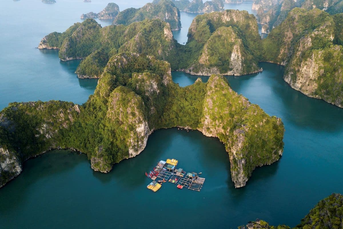 Ha Long Bay Day Tour