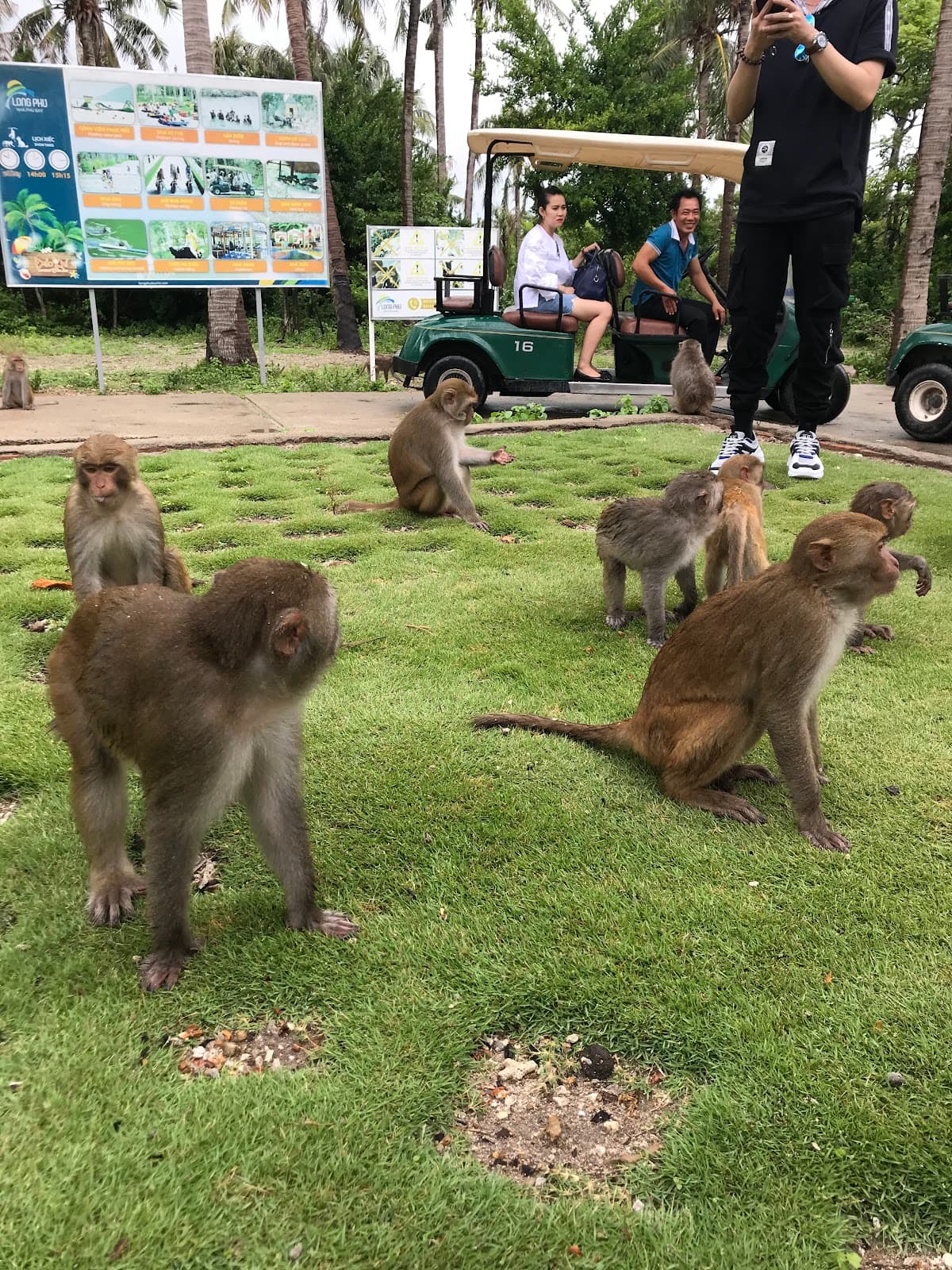 Monkey Island Ticket in Nha Trang