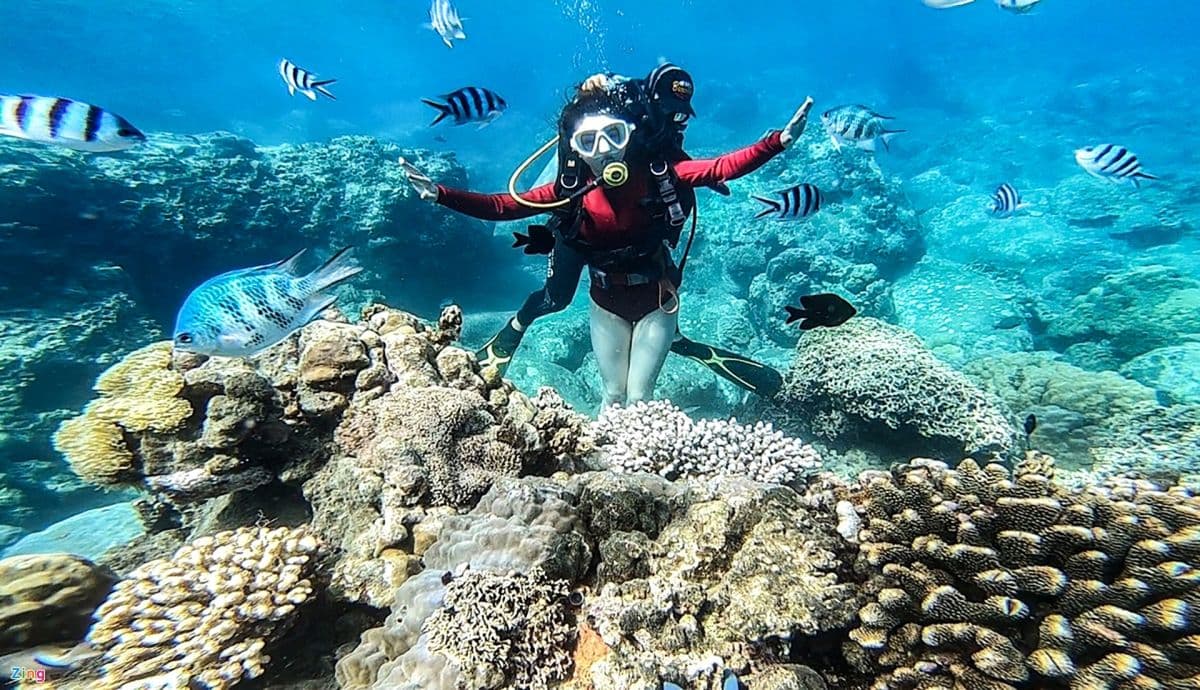 Nha Trang Mini Beach Tour (Hon Mun, Hon Tam Island optional)