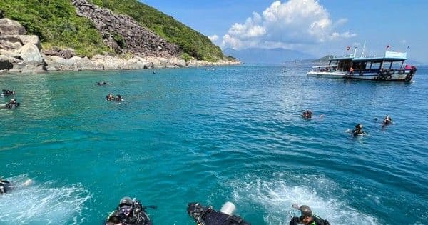 PADI Professional Scuba Diving