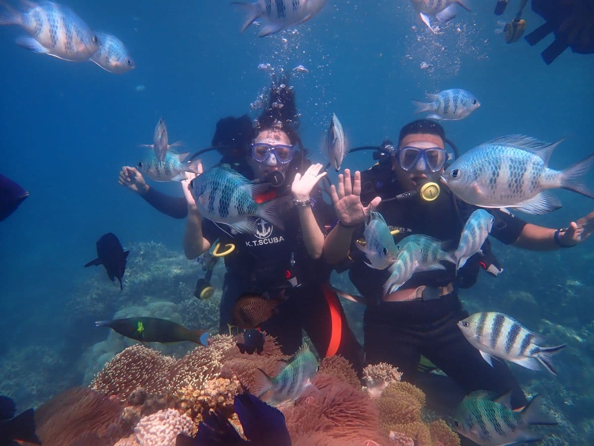 PADI Professional Scuba Diving