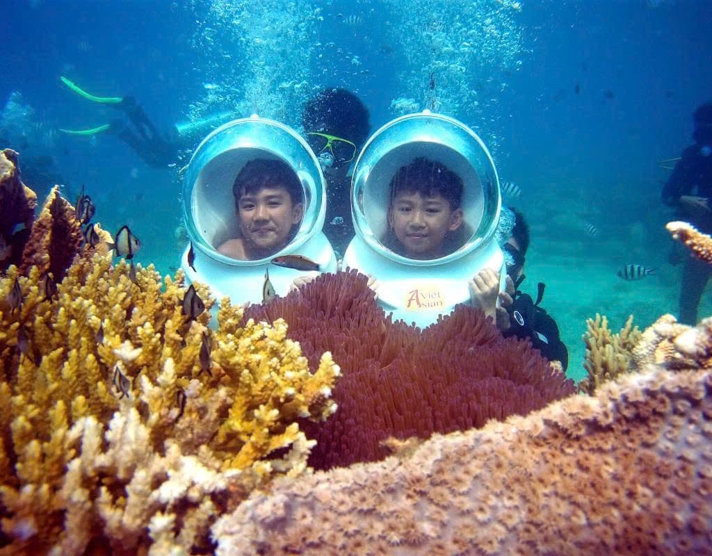 Sea-Walker or Scuba Diving Trip (01 time)