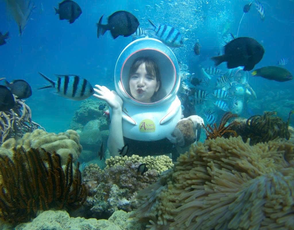 Sea-Walker or Scuba Diving Trip (01 time)