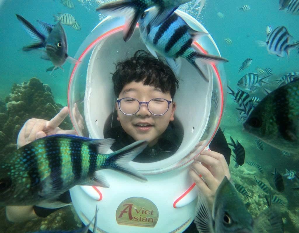 Sea-Walker or Scuba Diving Trip (01 time)