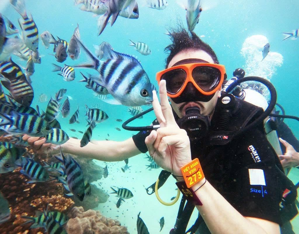 Sea-Walker or Scuba Diving Trip (01 time)
