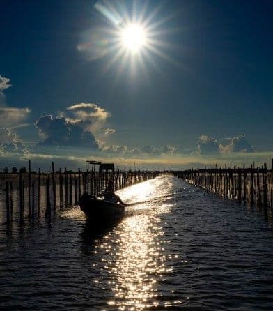 Sunrise Over Floating Market on Tam Giang Lagoon