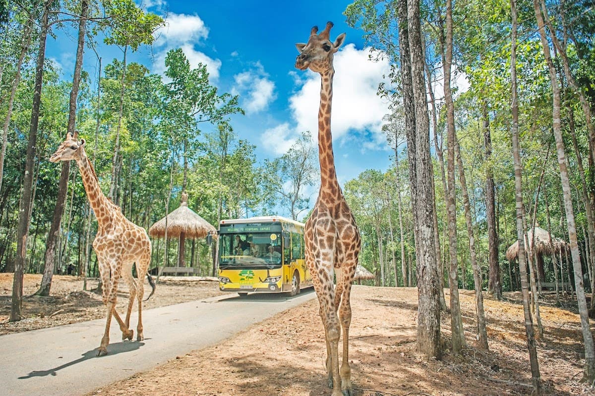 Vinpearl Safari Phu Quoc