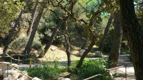 Barben Animal Park: Entry Ticket Child