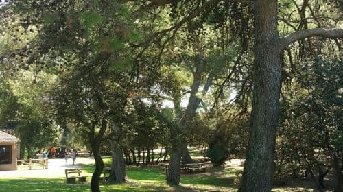 Barben Animal Park: Entry Ticket Child