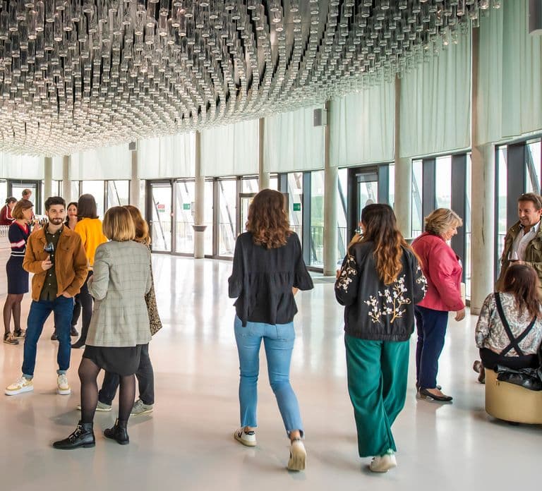 Bordeaux: Biglietto d'ingresso alla Cité du Vin e degustazione di vini