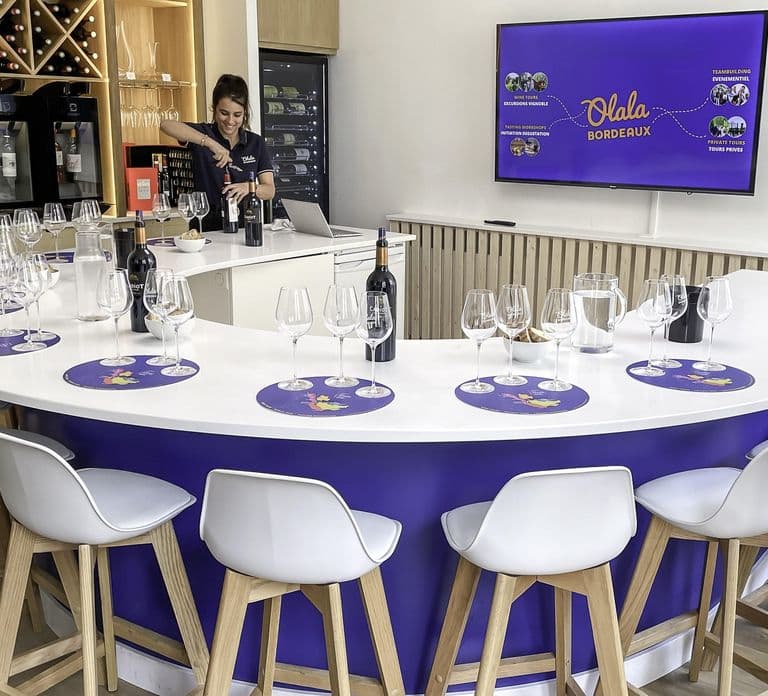 Bordeaux: Workshop de Introdução à Degustação de Vinhos de Bordeaux