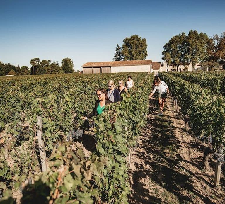 Bordeaux: Dagtocht St-Emilion en Médoc met lunch