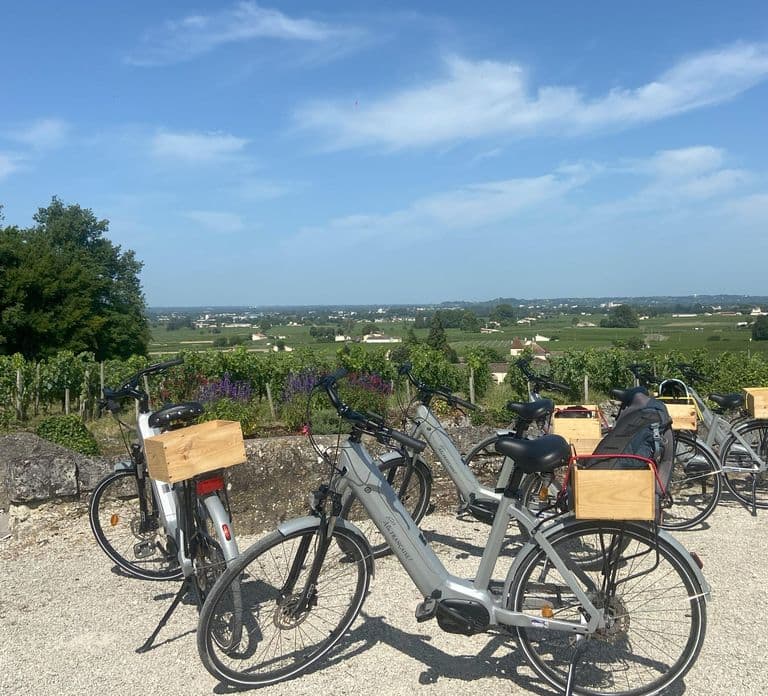 Bordeaux: Tour in e-Bike dei vigneti di St-Emilion con vino e pranzo