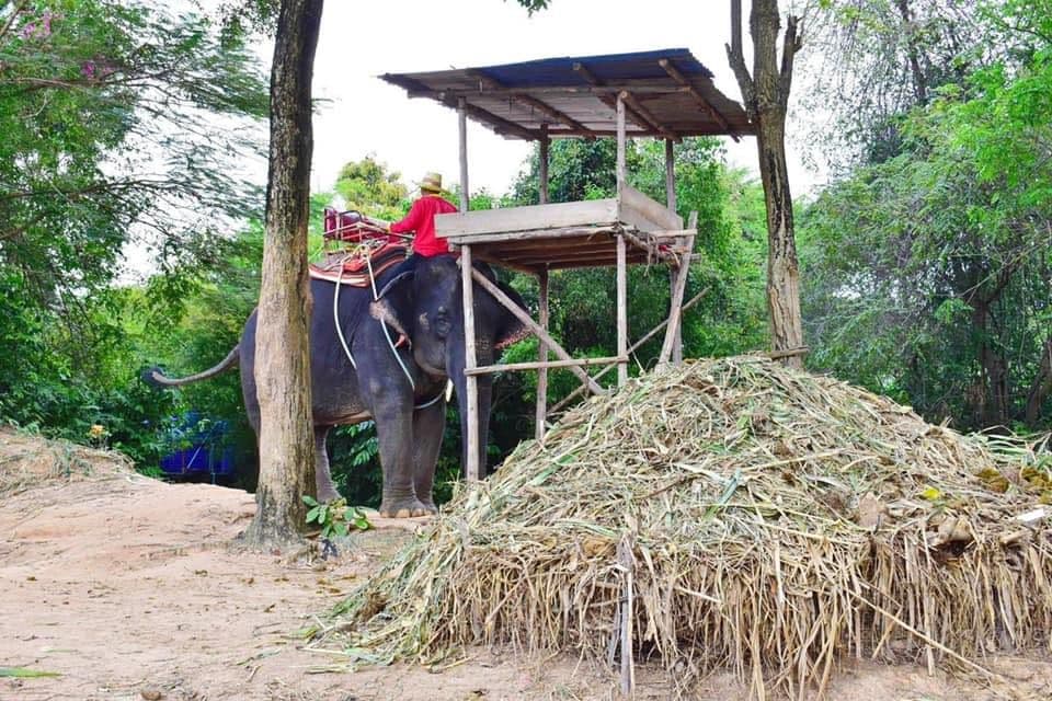 Chang Siam Krating Lai Pattaya