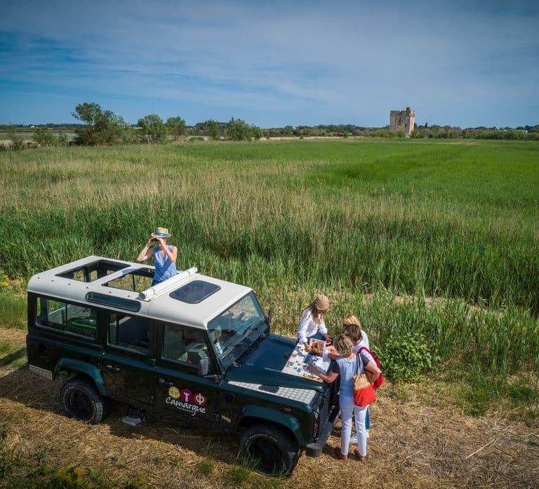 Camargue: Aventura de Safári Guiado de Meio Dia em 4x4
