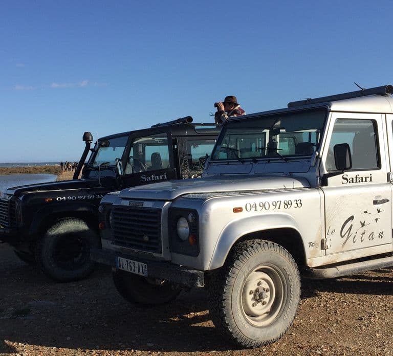 Camargue: Safari vanuit Saintes-Maries-de-la-Mer