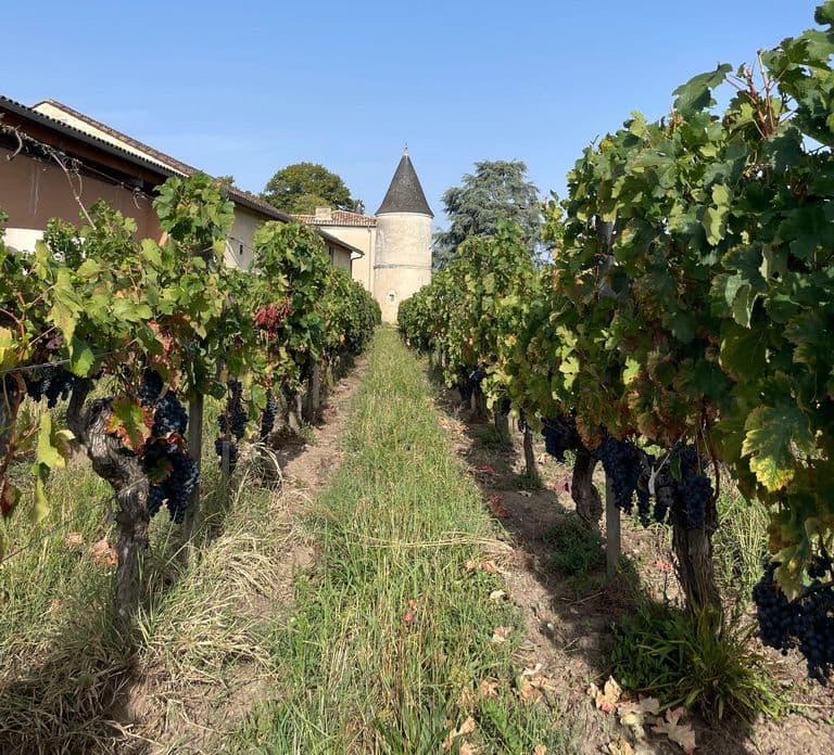 Visite de la propriété et atelier d'accord vins et fromages