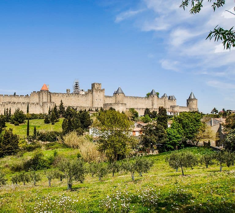 Carcassonne: Toegangsticket voor het kasteel en de stadsmuren