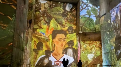 Carrières des Lumières: Entry Ticket Child