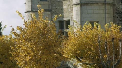 Castle d'Angers