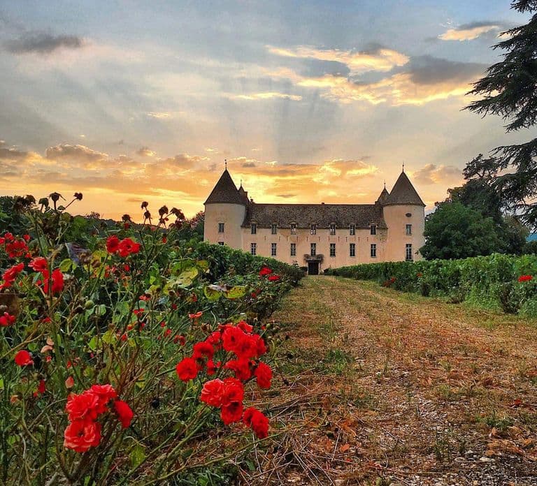 Check out the Château de Savigny museums: planes, cars, motorcycles...